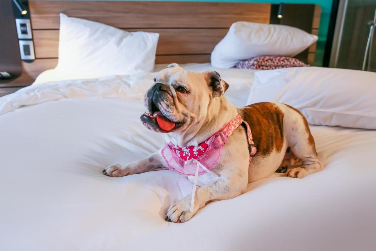 Novotel Sorocaba Dış mekan fotoğraf